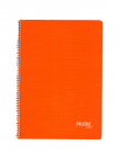 NOTTE Spiralli Kareli 120 Yaprak A4 Trend Plastik Kapaklı Defter NOTTE Spiralli Kareli 120 Yaprak A4 Trend Plastik Kapaklı Defter