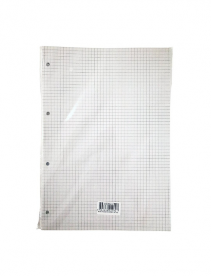 DİLMAN College Refill A4 Squared 40 Sheets White DİLMAN College Refill A4 Squared 40 Sheets White